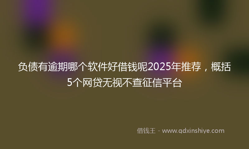 负债有逾期哪个软件好借钱呢2025年推荐，概括5个网贷无视不查征信平台