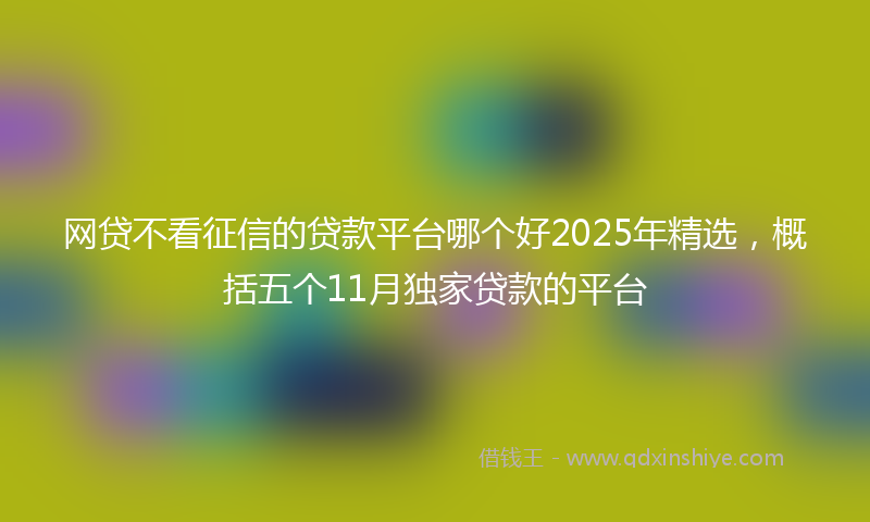 网贷不看征信的贷款平台哪个好2025年精选，概括五个11月独家贷款的平台