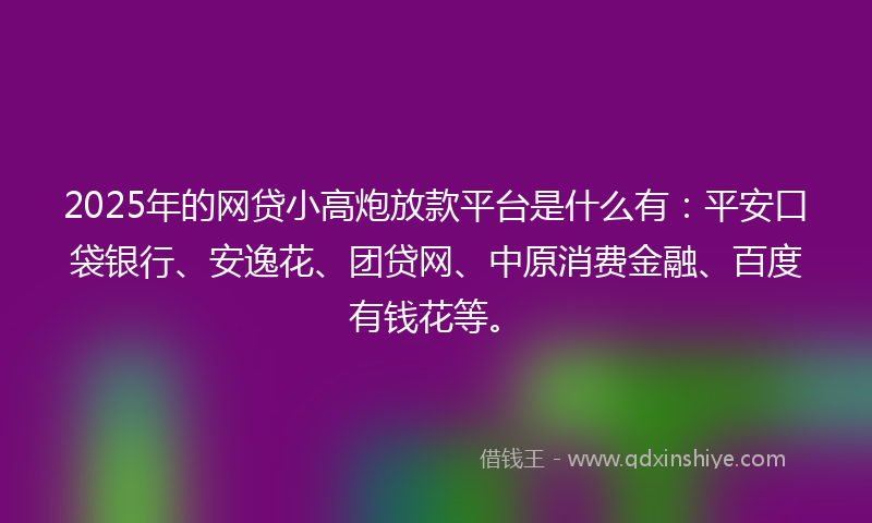 2025年的网贷小高炮放款平台是什么有：平安口袋银行、安逸花、团贷网、中原消费金融、百度有钱花等。