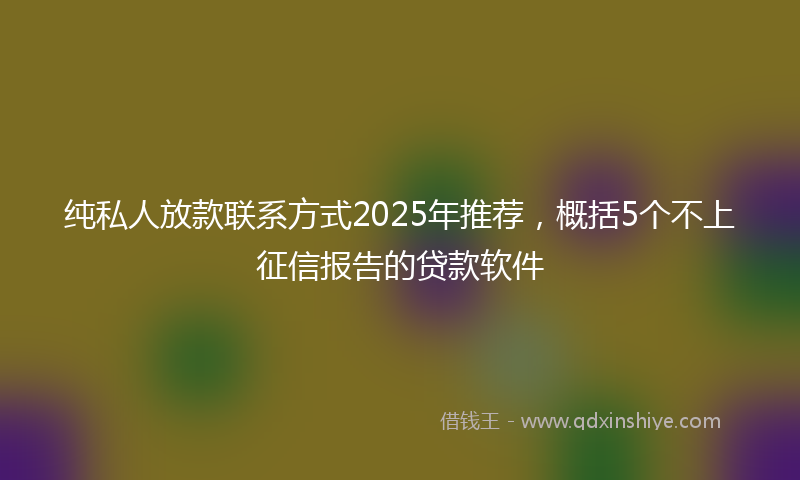 纯私人放款联系方式2025年推荐，概括5个不上征信报告的贷款软件