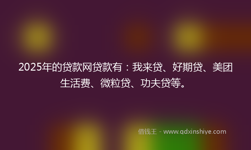 2025年的贷款网贷款有：我来贷、好期贷、美团生活费、微粒贷、功夫贷等。