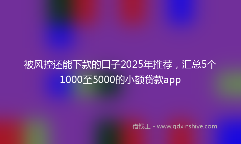 被风控还能下款的口子2025年推荐，汇总5个1000至5000的小额贷款app