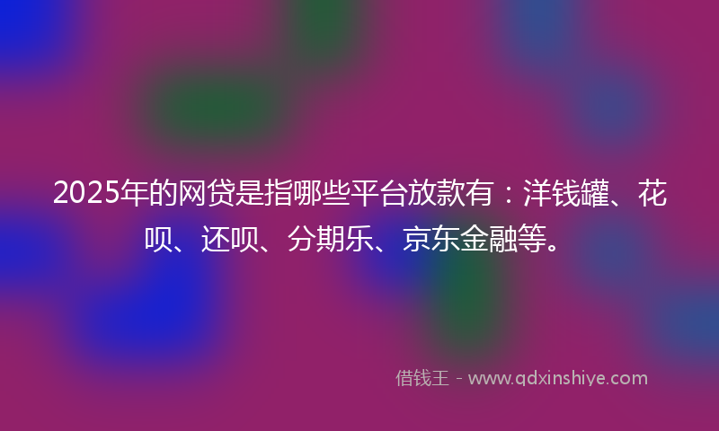2025年的网贷是指哪些平台放款有：洋钱罐、花呗、还呗、分期乐、京东金融等。
