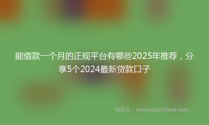 能借款一个月的正规平台有哪些2025年推荐，分享5个2024最新贷款口子
