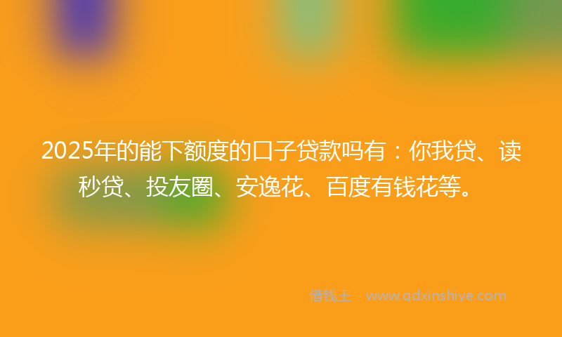 2025年的能下额度的口子贷款吗有：你我贷、读秒贷、投友圈、安逸花、百度有钱花等。