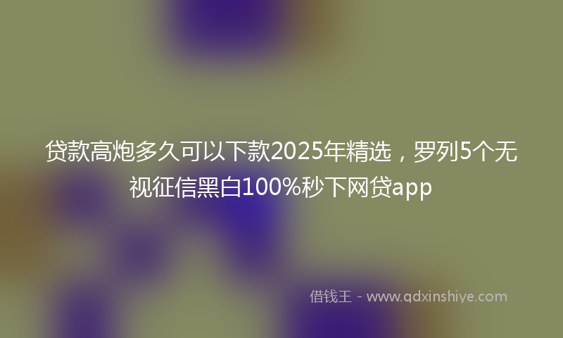 贷款高炮多久可以下款2025年精选，罗列5个无视征信黑白100%秒下网贷app