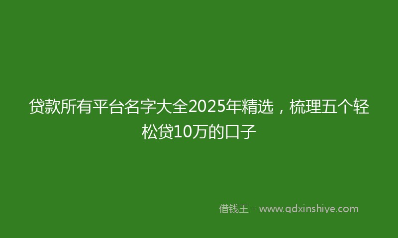贷款所有平台名字大全2025年精选，梳理五个轻松贷10万的口子