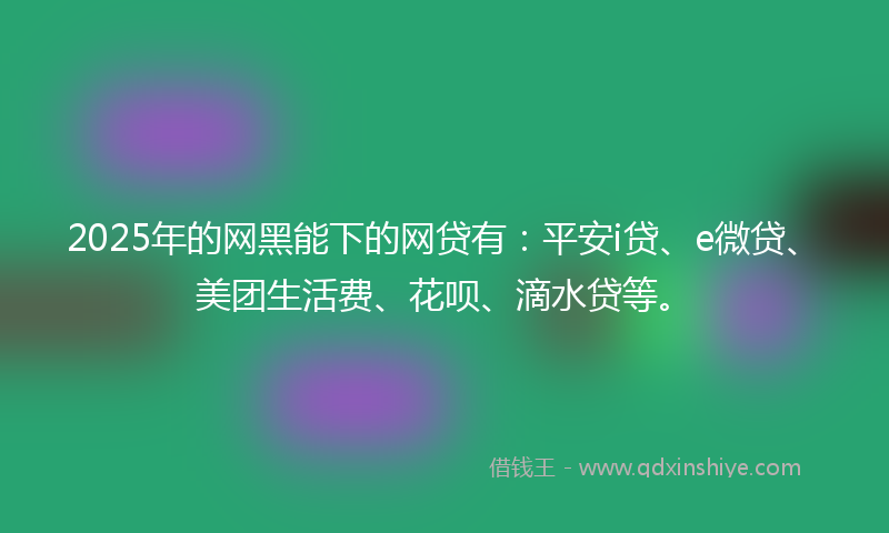 2025年的网黑能下的网贷有：平安i贷、e微贷、美团生活费、花呗、滴水贷等。