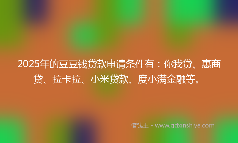 2025年的豆豆钱贷款申请条件有：你我贷、惠商贷、拉卡拉、小米贷款、度小满金融等。