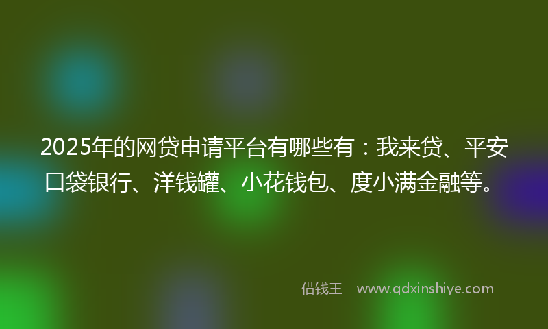 2025年的网贷申请平台有哪些有：我来贷、平安口袋银行、洋钱罐、小花钱包、度小满金融等。