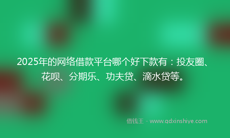 2025年的网络借款平台哪个好下款有：投友圈、花呗、分期乐、功夫贷、滴水贷等。