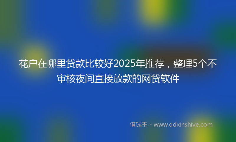 花户在哪里贷款比较好2025年推荐，整理5个不审核夜间直接放款的网贷软件