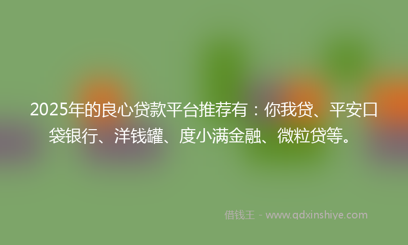 2025年的良心贷款平台推荐有：你我贷、平安口袋银行、洋钱罐、度小满金融、微粒贷等。