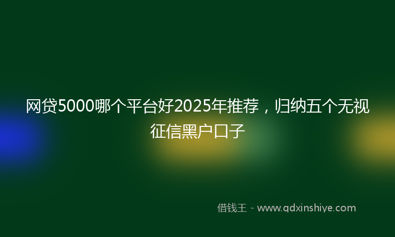 网贷5000哪个平台好2025年推荐，归纳五个无视征信黑户口子