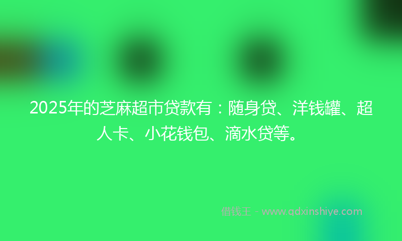 2025年的芝麻超市贷款有：随身贷、洋钱罐、超人卡、小花钱包、滴水贷等。