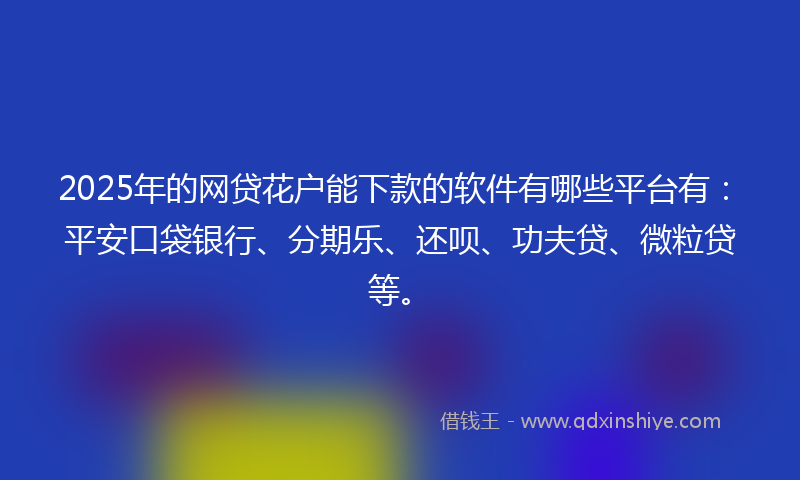2025年的网贷花户能下款的软件有哪些平台有：平安口袋银行、分期乐、还呗、功夫贷、微粒贷等。