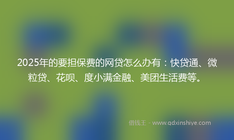 2025年的要担保费的网贷怎么办有：快贷通、微粒贷、花呗、度小满金融、美团生活费等。