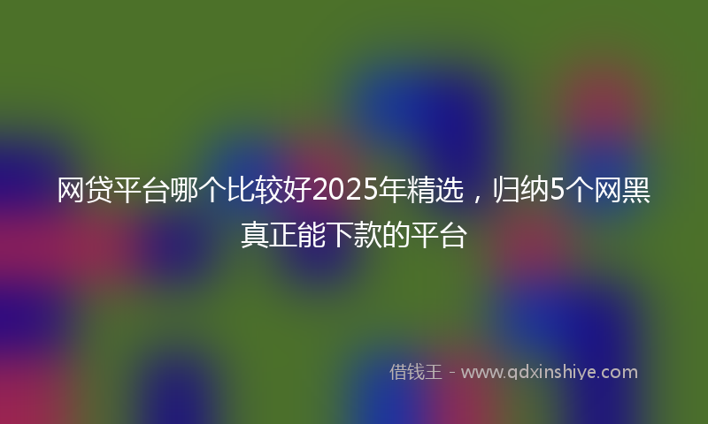 网贷平台哪个比较好2025年精选，归纳5个网黑真正能下款的平台