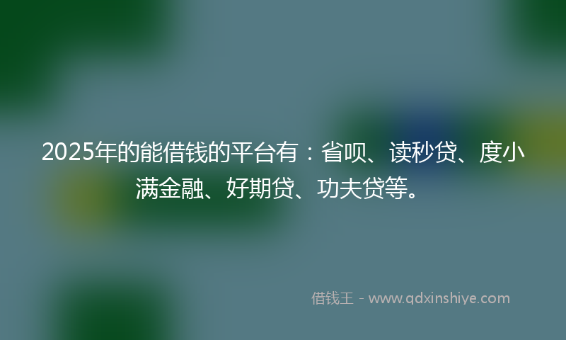 2025年的能借钱的平台有：省呗、读秒贷、度小满金融、好期贷、功夫贷等。
