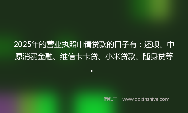 2025年的营业执照申请贷款的口子有：还呗、中原消费金融、维信卡卡贷、小米贷款、随身贷等。