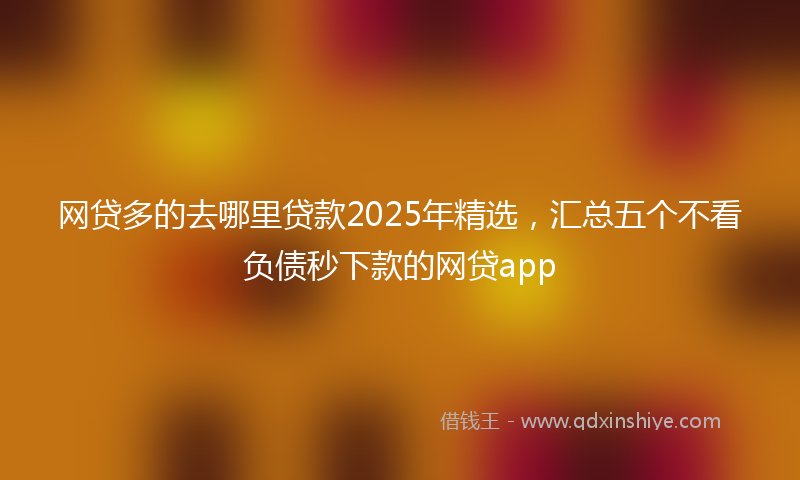 网贷多的去哪里贷款2025年精选，汇总五个不看负债秒下款的网贷app