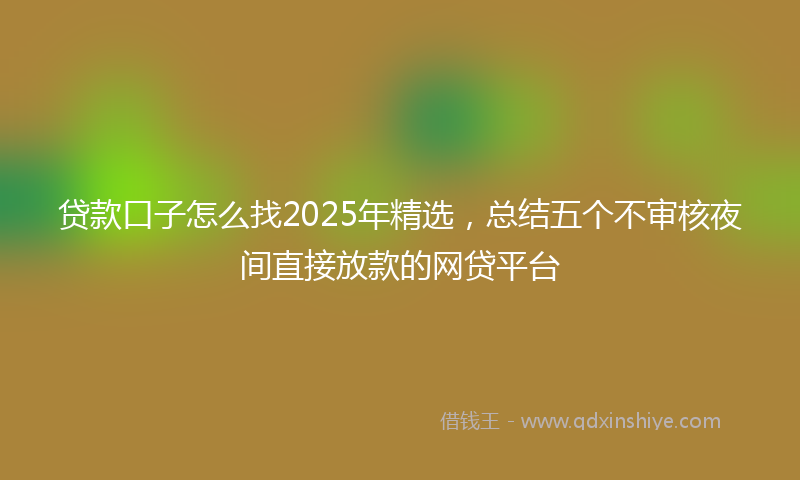 贷款口子怎么找2025年精选，总结五个不审核夜间直接放款的网贷平台