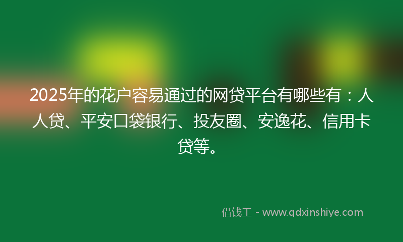 2025年的花户容易通过的网贷平台有哪些有：人人贷、平安口袋银行、投友圈、安逸花、信用卡贷等。