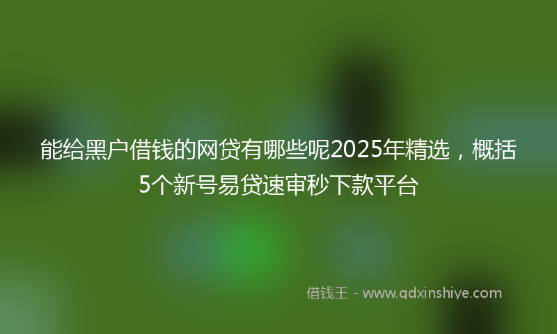 能给黑户借钱的网贷有哪些呢2025年精选，概括5个新号易贷速审秒下款平台