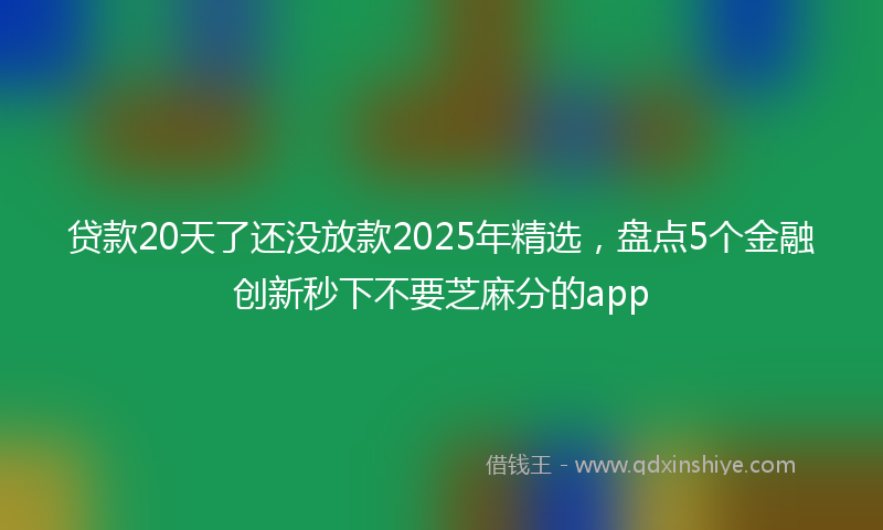 贷款20天了还没放款2025年精选，盘点5个金融创新秒下不要芝麻分的app
