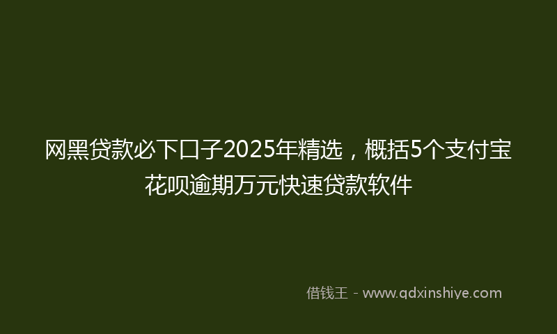网黑贷款必下口子2025年精选，概括5个支付宝花呗逾期万元快速贷款软件