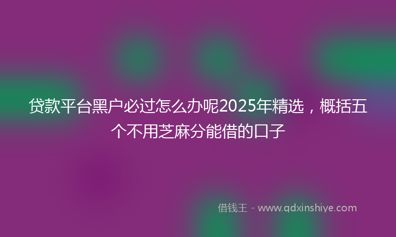 贷款平台黑户必过怎么办呢2025年精选，概括五个不用芝麻分能借的口子