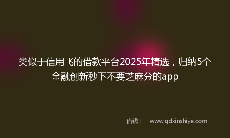 类似于信用飞的借款平台2025年精选，归纳5个金融创新秒下不要芝麻分的app