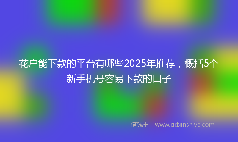 花户能下款的平台有哪些2025年推荐，概括5个新手机号容易下款的口子