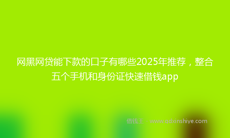 网黑网贷能下款的口子有哪些2025年推荐，整合五个手机和身份证快速借钱app