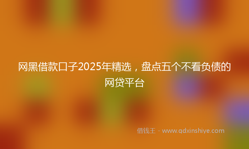 网黑借款口子2025年精选，盘点五个不看负债的网贷平台