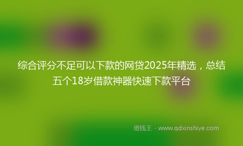 综合评分不足可以下款的网贷2025年精选，总结五个18岁借款神器快速下款平台