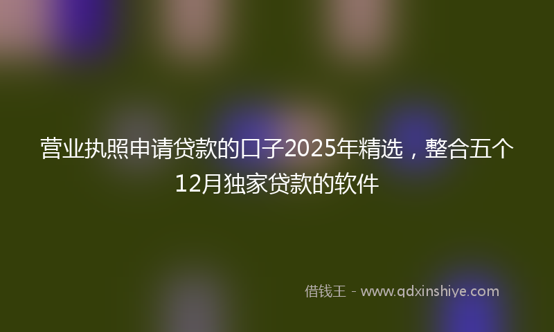营业执照申请贷款的口子2025年精选，整合五个12月独家贷款的软件