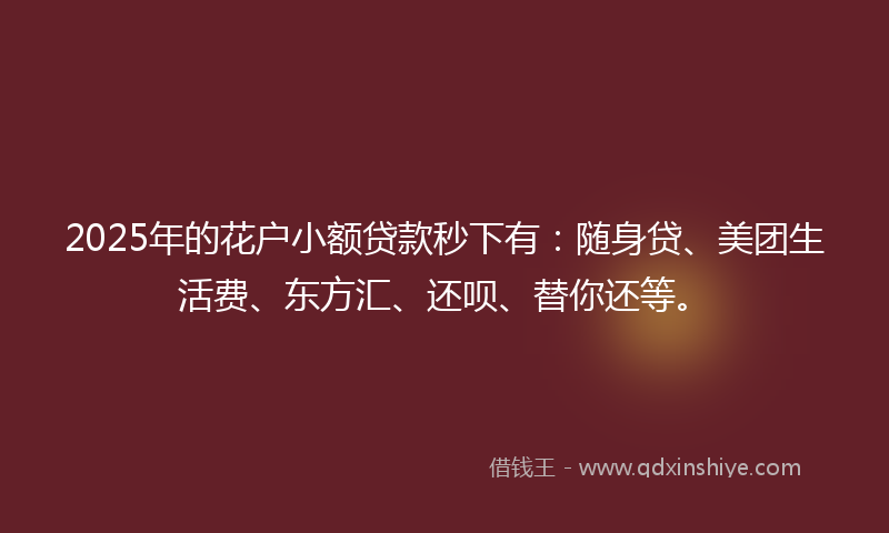 2025年的花户小额贷款秒下有：随身贷、美团生活费、东方汇、还呗、替你还等。