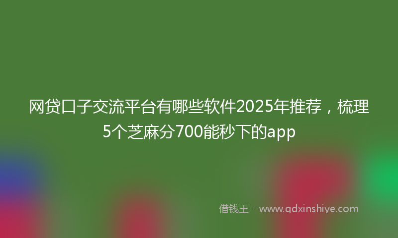 网贷口子交流平台有哪些软件2025年推荐，梳理5个芝麻分700能秒下的app