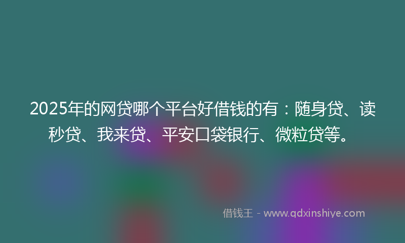 2025年的网贷哪个平台好借钱的有：随身贷、读秒贷、我来贷、平安口袋银行、微粒贷等。