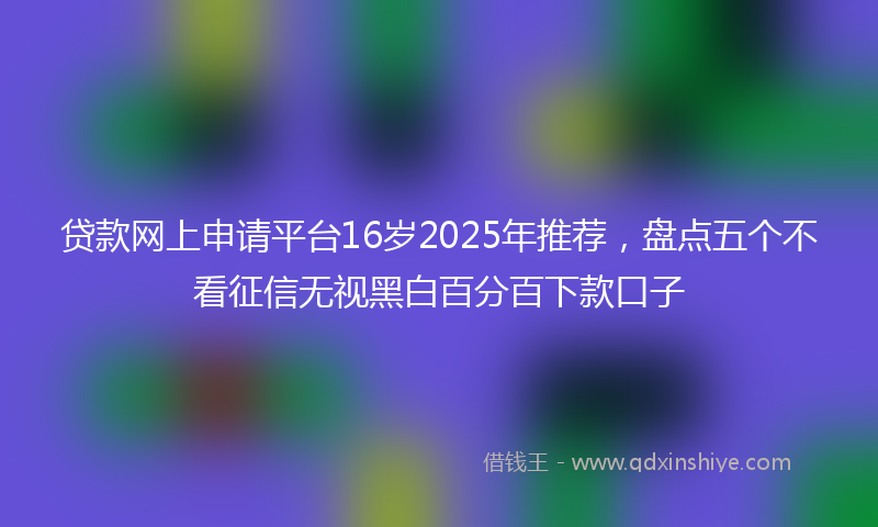 贷款网上申请平台16岁2025年推荐，盘点五个不看征信无视黑白百分百下款口子