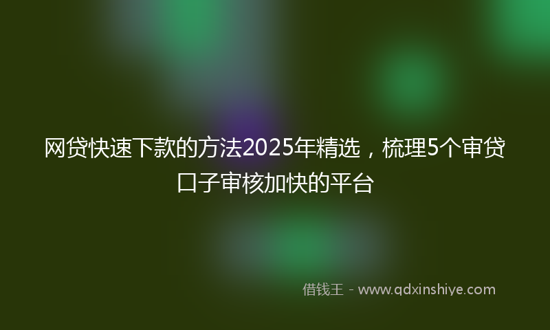 网贷快速下款的方法2025年精选，梳理5个审贷口子审核加快的平台