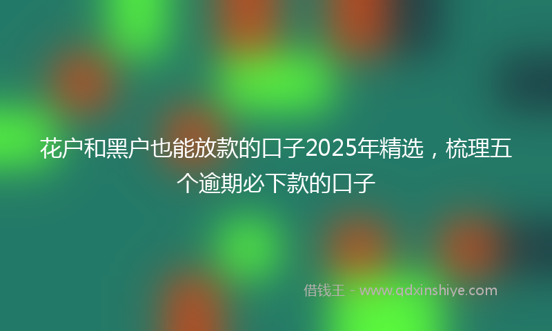 花户和黑户也能放款的口子2025年精选，梳理五个逾期必下款的口子