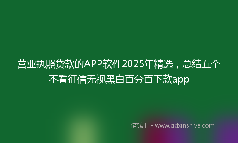 营业执照贷款的APP软件2025年精选，总结五个不看征信无视黑白百分百下款app