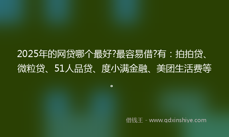 2025年的网贷哪个最好?最容易借?有：拍拍贷、微粒贷、51人品贷、度小满金融、美团生活费等。