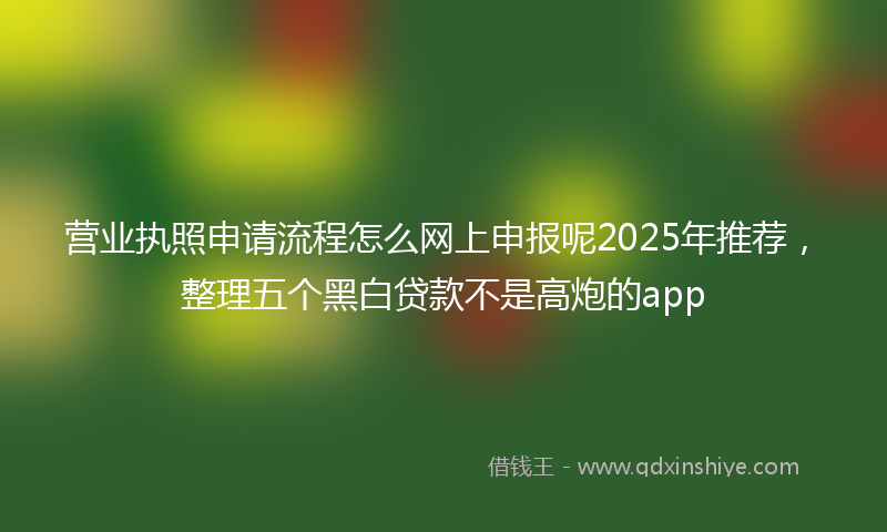 营业执照申请流程怎么网上申报呢2025年推荐，整理五个黑白贷款不是高炮的app