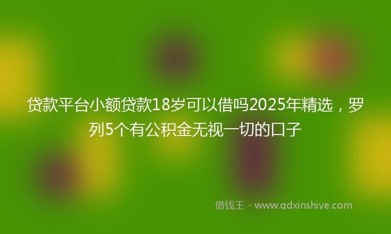 贷款平台小额贷款18岁可以借吗2025年精选，罗列5个有公积金无视一切的口子