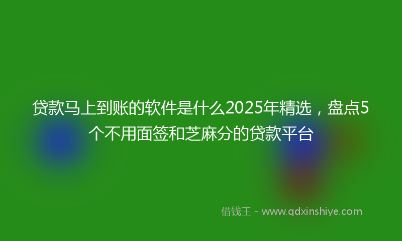 贷款马上到账的软件是什么2025年精选，盘点5个不用面签和芝麻分的贷款平台