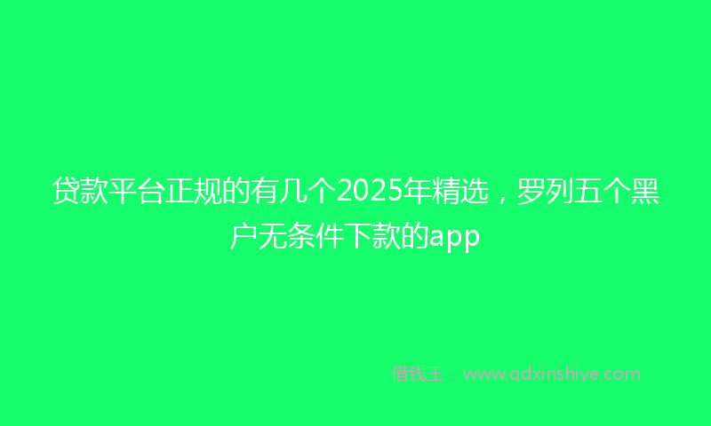 贷款平台正规的有几个2025年精选，罗列五个黑户无条件下款的app