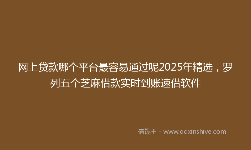 网上贷款哪个平台最容易通过呢2025年精选，罗列五个芝麻借款实时到账速借软件